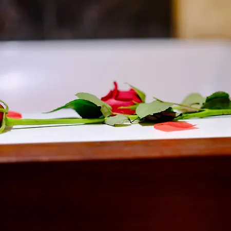 L'autel La Crypte Mysterieuse De - Sauna & Balneo * Rouen